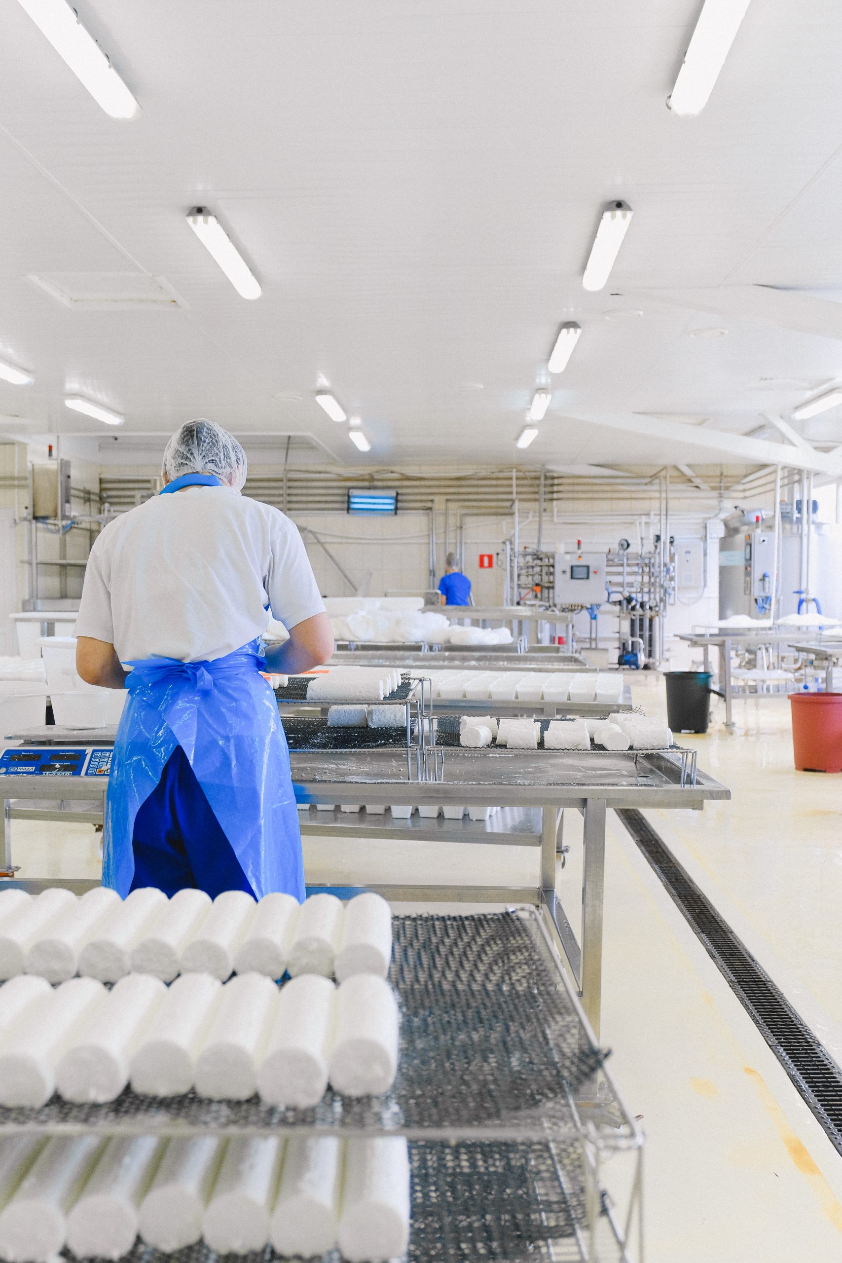 food_factory_1665408378-scaled.jpeg
